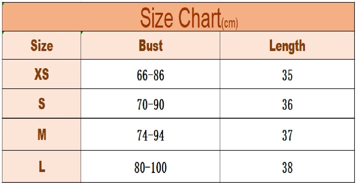 Sexy Black Semi Transparent Bra Mesh Push Up Bralet Women's Tube Top Corset Bustier Vest Club Party Crop Top Elegant Lingerie